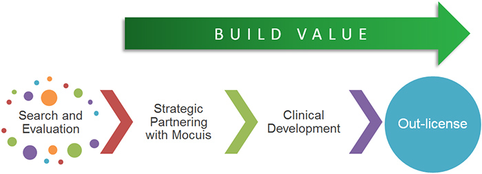 mocuis-build-value-process-b